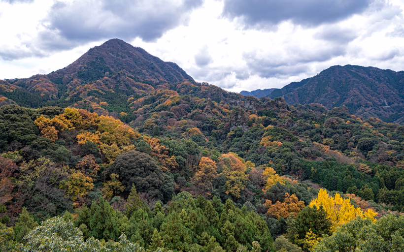 Fukuoka feature