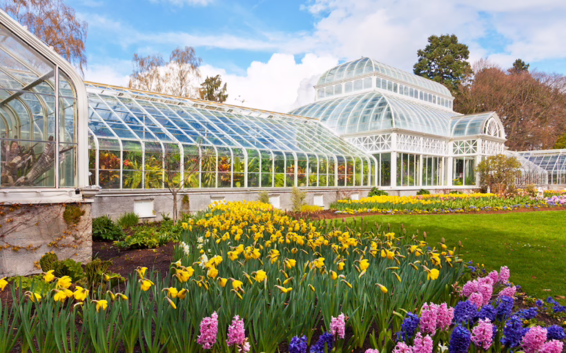 Seattle Volunteer Park Conservatory