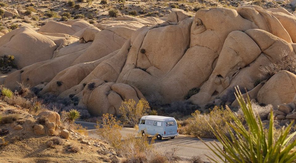 Silverkris_Joshua-Tree_National-Park