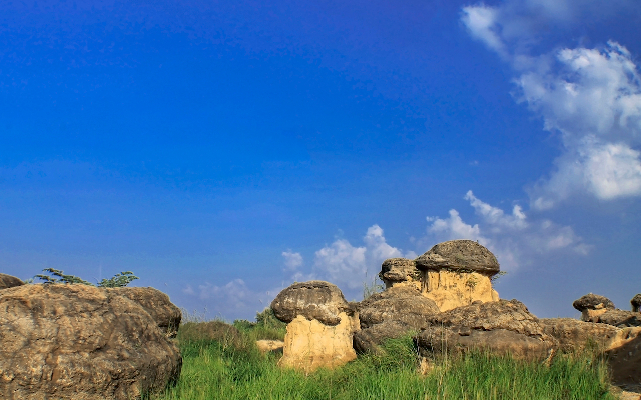 Bukit Jamur Surabaya East Java Indonesia