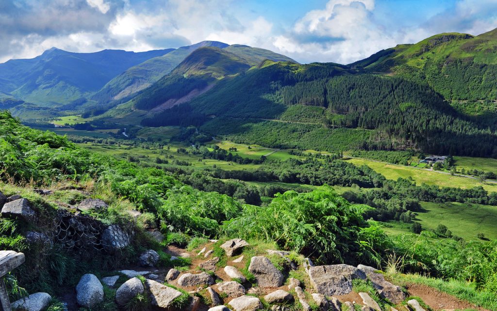 whiskey/whisky beginner's guide Ben Navis Highlands