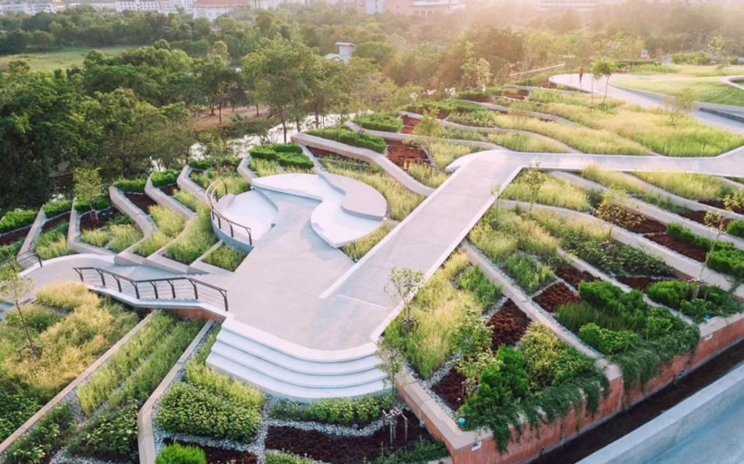 urban rooftop farm