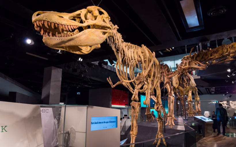Melbourne Museum