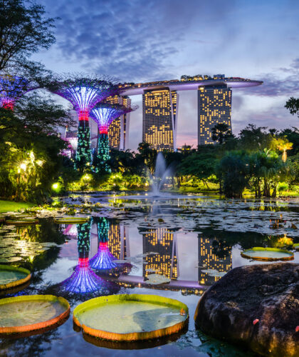 Singapore skyline gardens by the bay