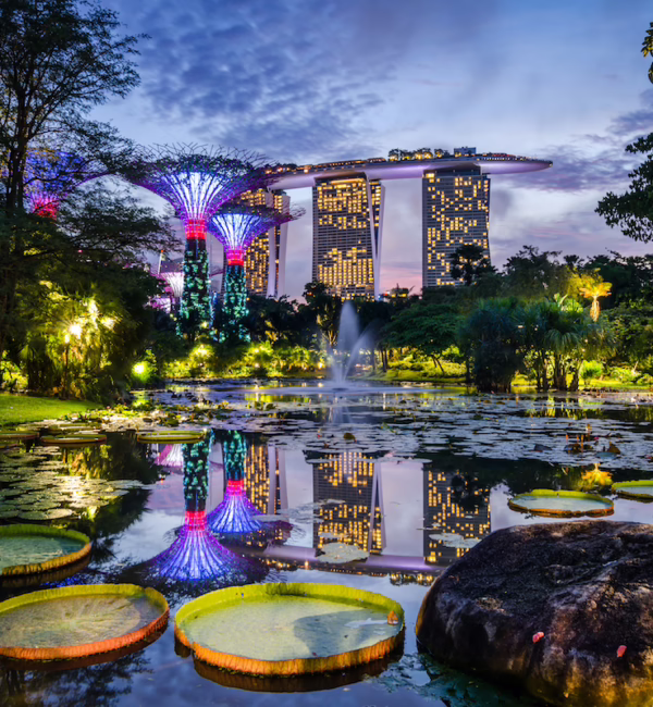 Singapore skyline gardens by the bay