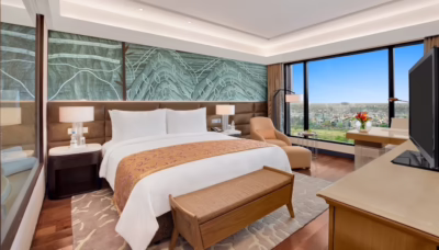  Leela Convention Ambience Hotel pillow