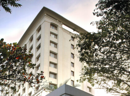 The Raintree, St Mary’s Road