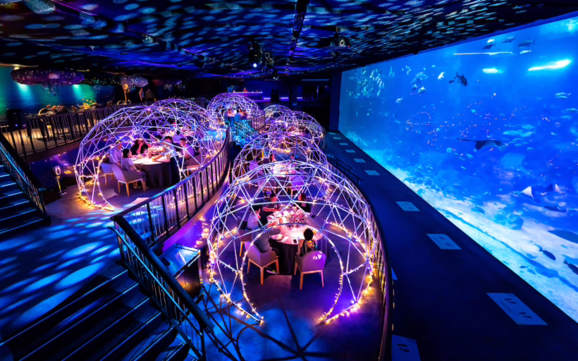 Aqua Gastronomy at Resorts World Sentosa