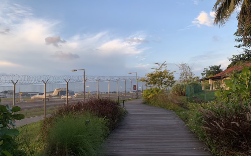 Seletar Airport boardwalk
