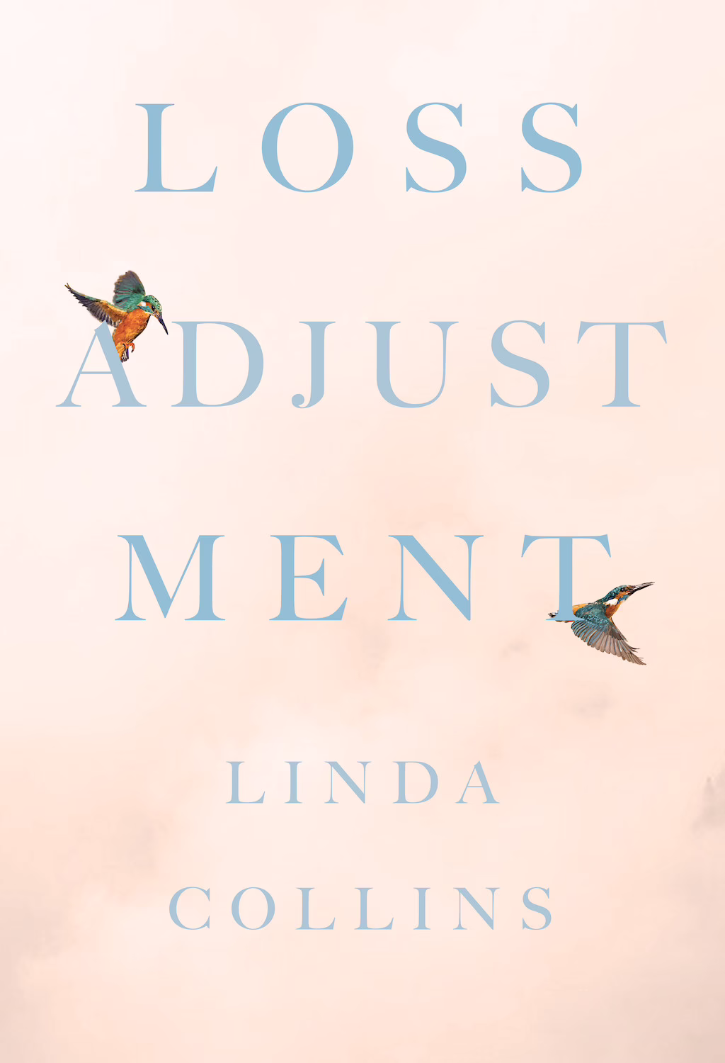 Loss Adjustment cover