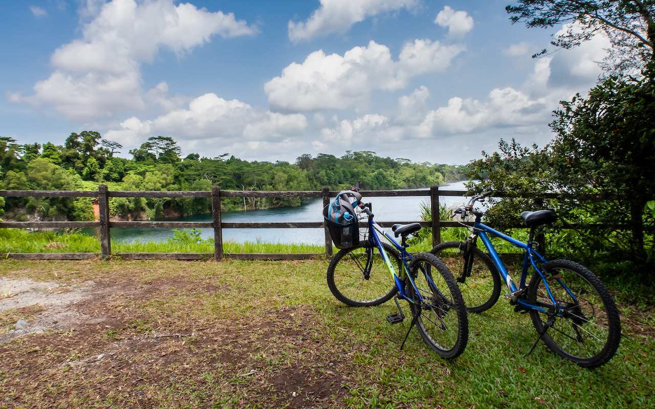 Cycling Trails in Singapore Ketam mountain bike park