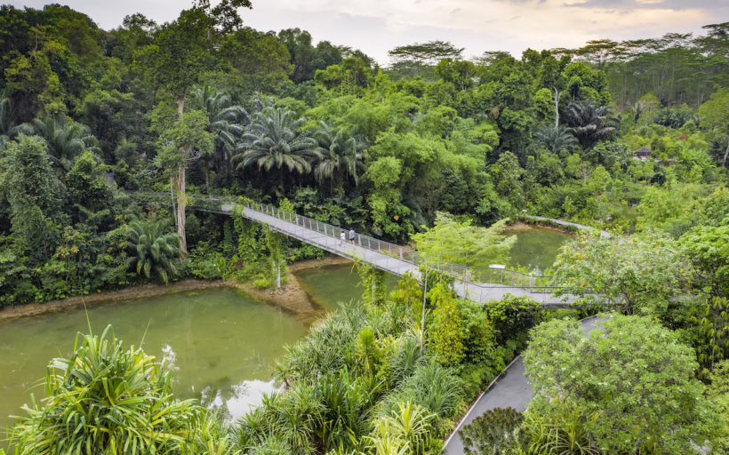 Botanic Gardens