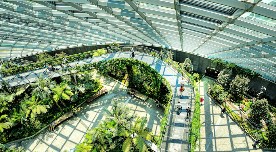 Cloud Forest conservatory