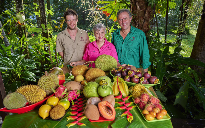 Daintree Food Trail