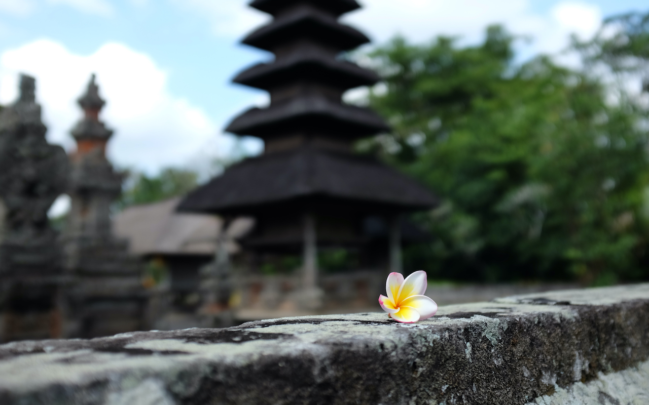 bali frangipani