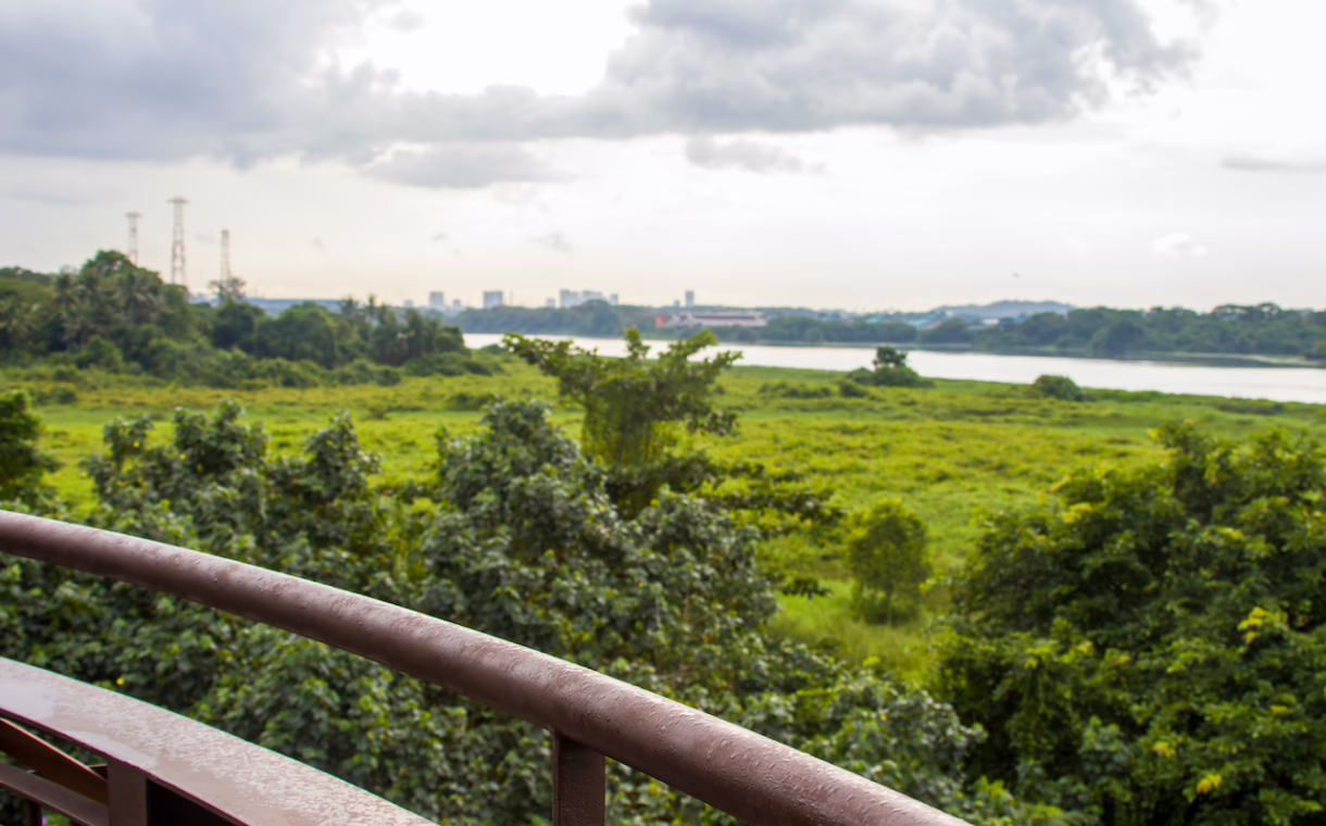 View from tower at Kranji Marshes