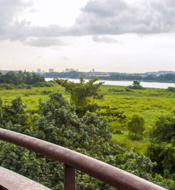 View from tower at Kranji Marshes