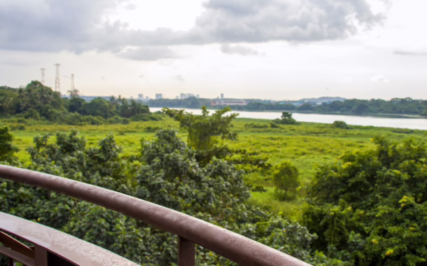 View from tower at Kranji Marshes