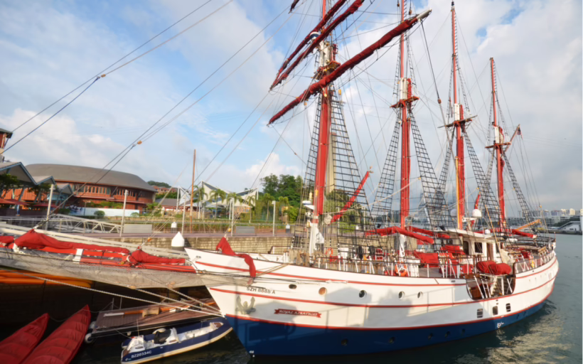royal albatross ship cruise