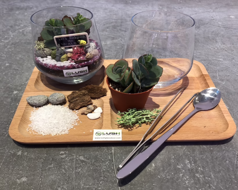 terrarium stay home diy fun kit