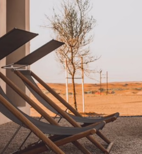 desert chairs lawn chair