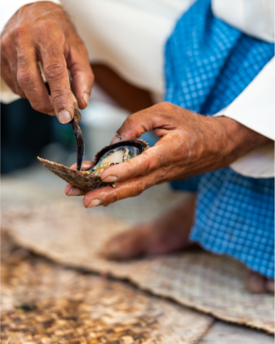 arabian pearl diving dubai uae