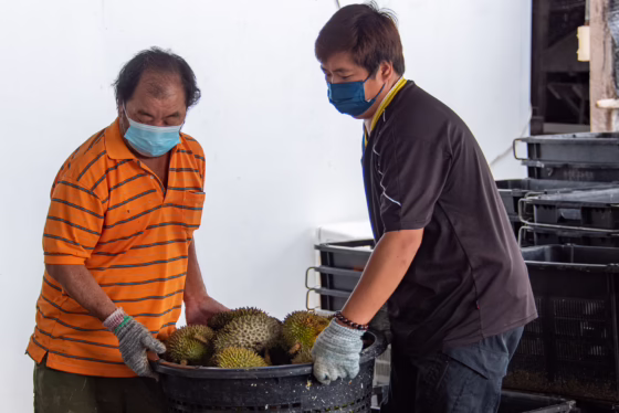 Koh_Durian