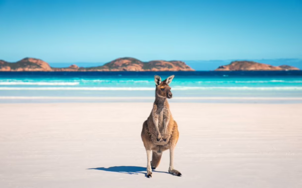 Share Australia’s whitest beach, Lucky Bay, with friendly sunbathing kangaroos