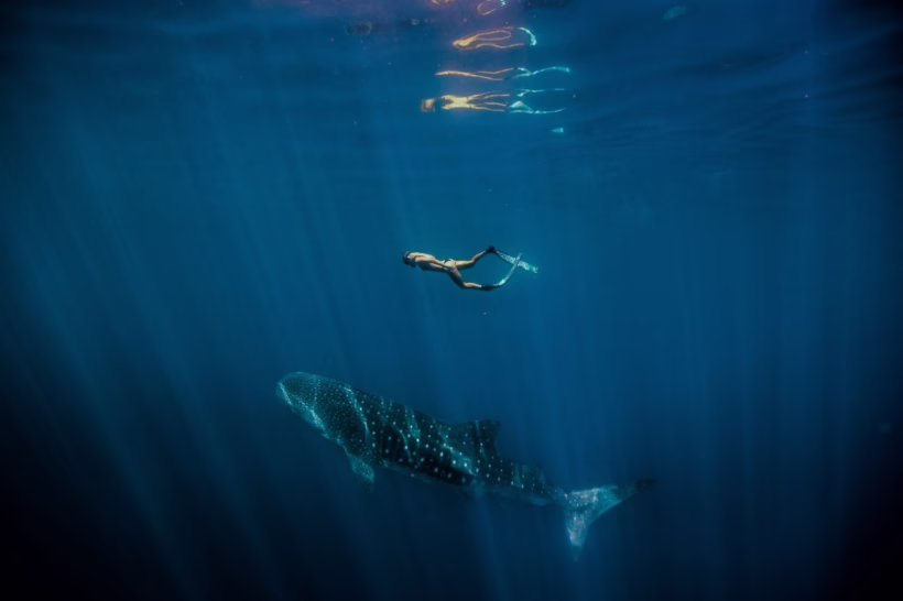 Ningaloo Reef Western Australia