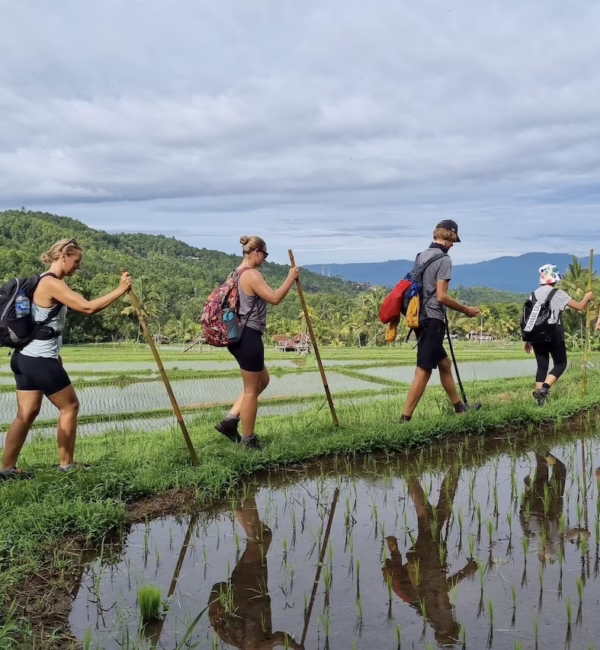 Astungkara Way Bali Things to do