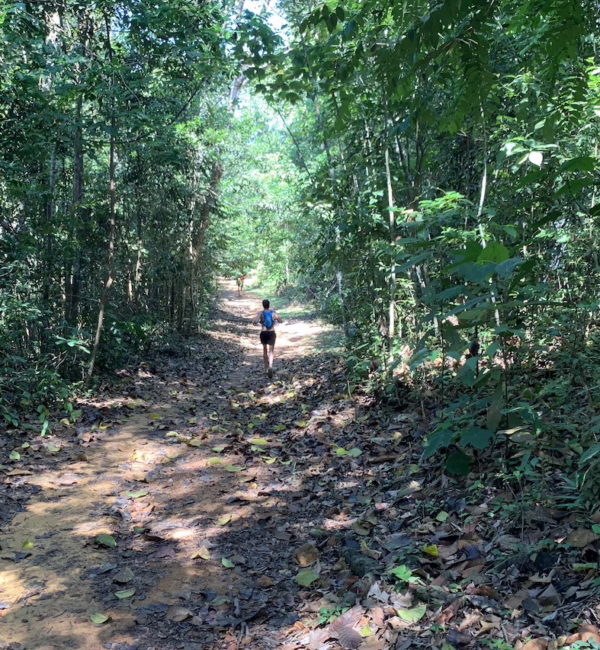 Trail running at MacRitchie Reservoir
