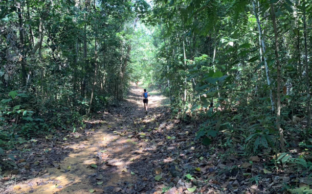Trail running at MacRitchie Reservoir