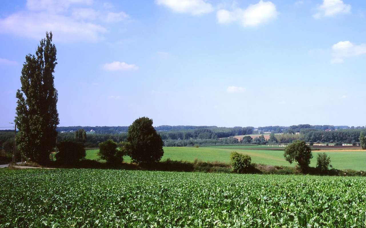 Dender-Mark+Quiet+Park+Silverkris