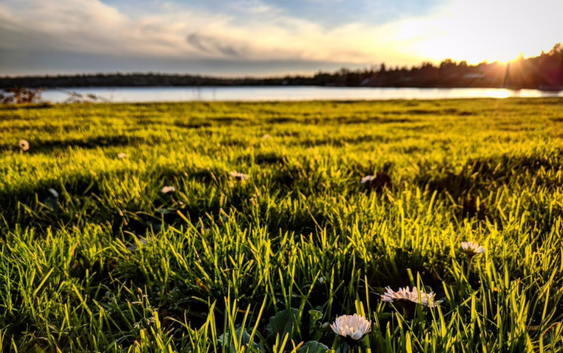 Seward Park quiet places silverkris