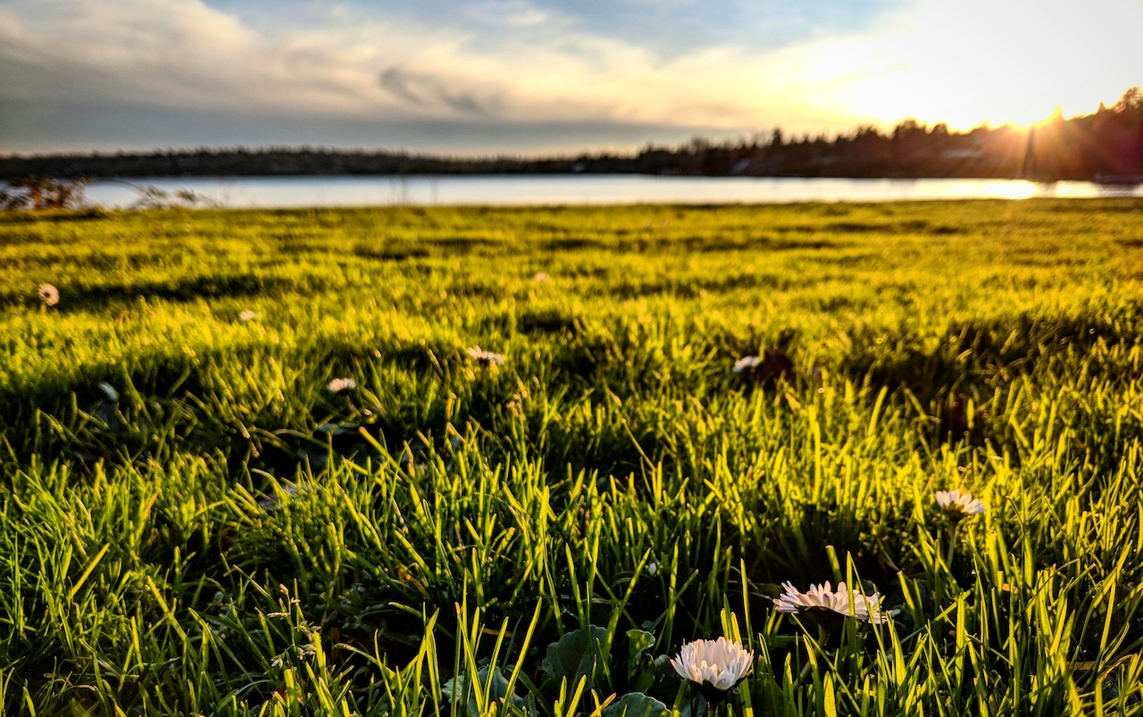 Seward Park quiet places silverkris