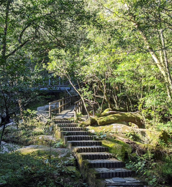 ryuta-f-sV0bqOLJCkA-unsplash Silverkris Quiet Places
