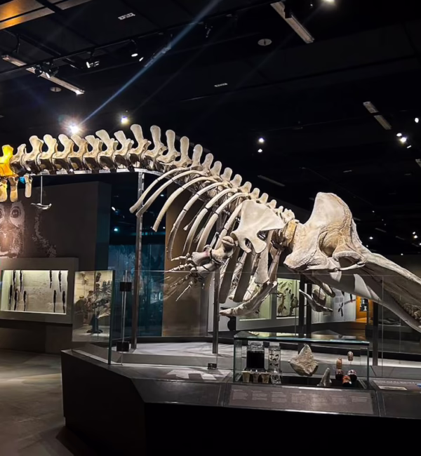 lee kong chian silverkris museums