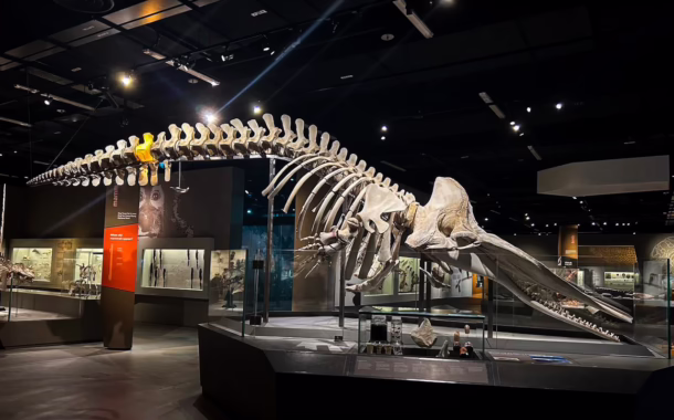 lee kong chian silverkris museums