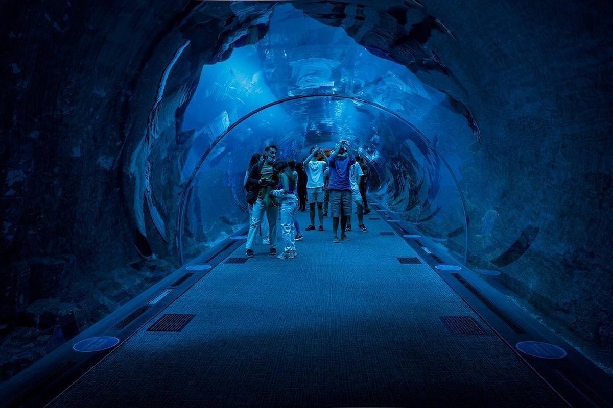Dubai Aquarium & Underwater Zoo SilverKris Oceanariums