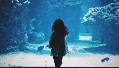 oceanariums aquariums in asia silverkris