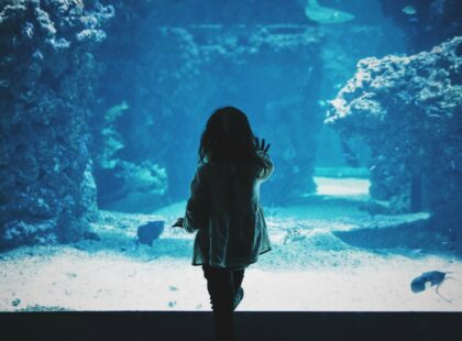 oceanariums aquariums in asia silverkris