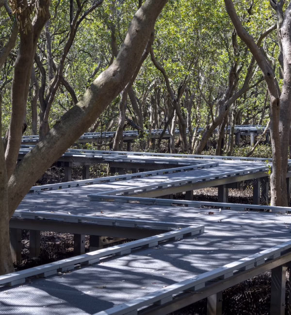 Badu Mangroves sydney city guide silverkris