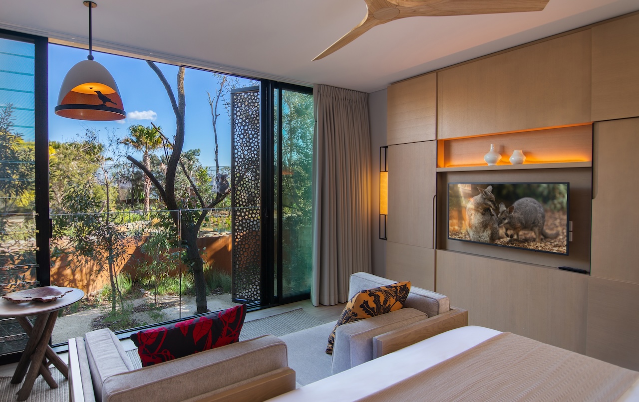 Wildlife-Retreat-Taronga_Animal-view-room-Sydney-City-Guide-Silverkris