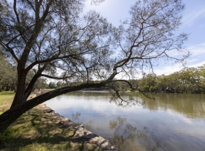 Georges-River-National-Park-WSI-Sydney-Silverkris