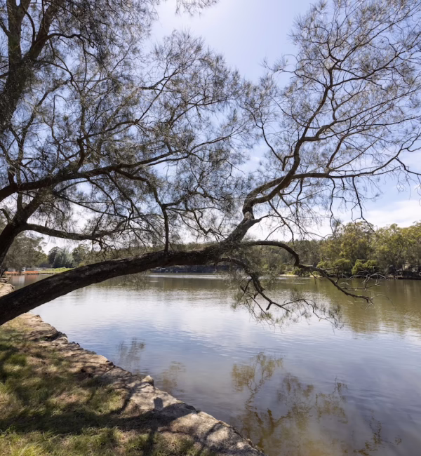 Georges-River-National-Park-WSI-Sydney-Silverkris