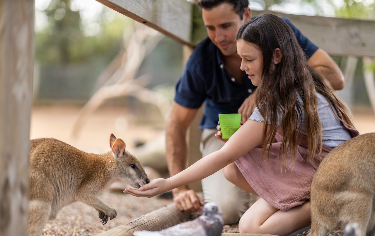featherdale-WSI-sydney-silverkris