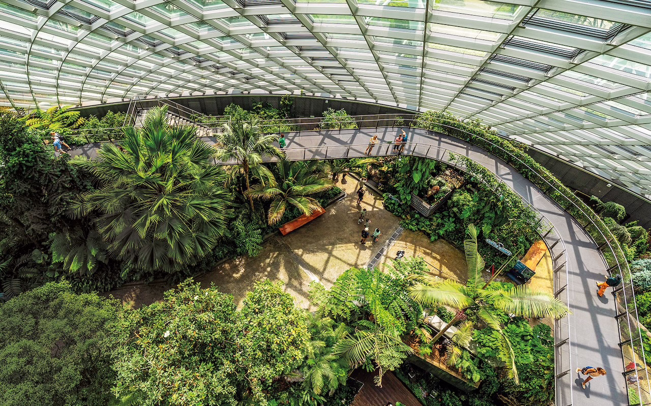gbtb-cloudforest-singapore-green-vision-silverkris