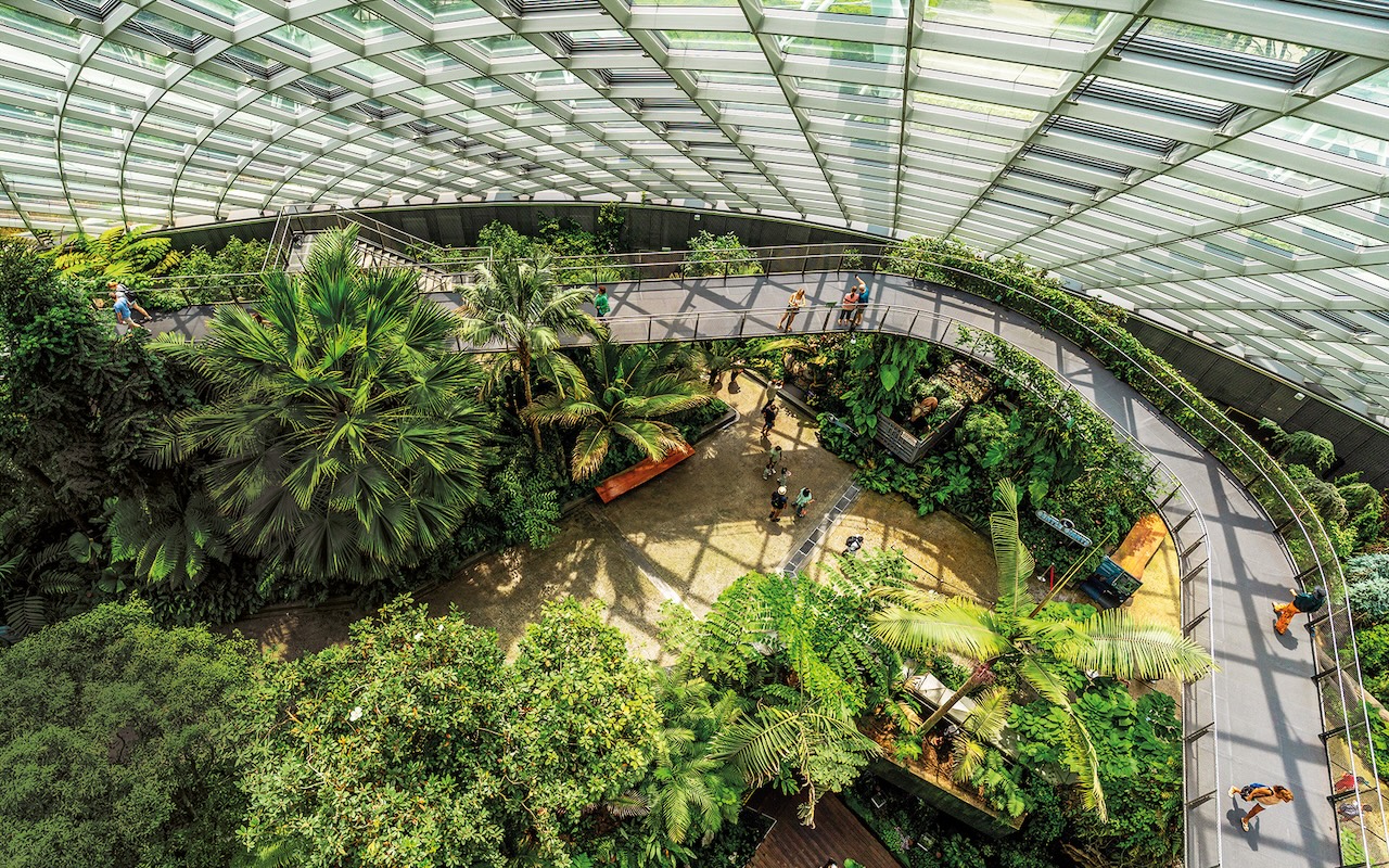 gbtb cloudforest singapore green vision silverkris