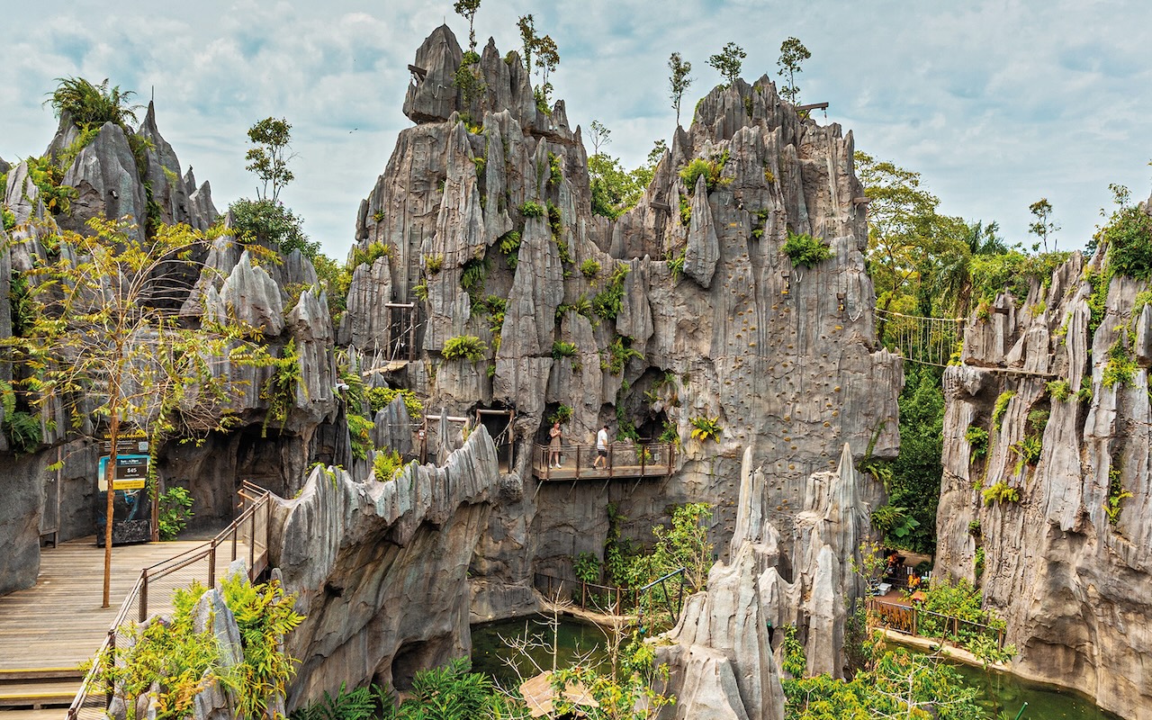 mandai rainforest wild singapore green vision silverkris