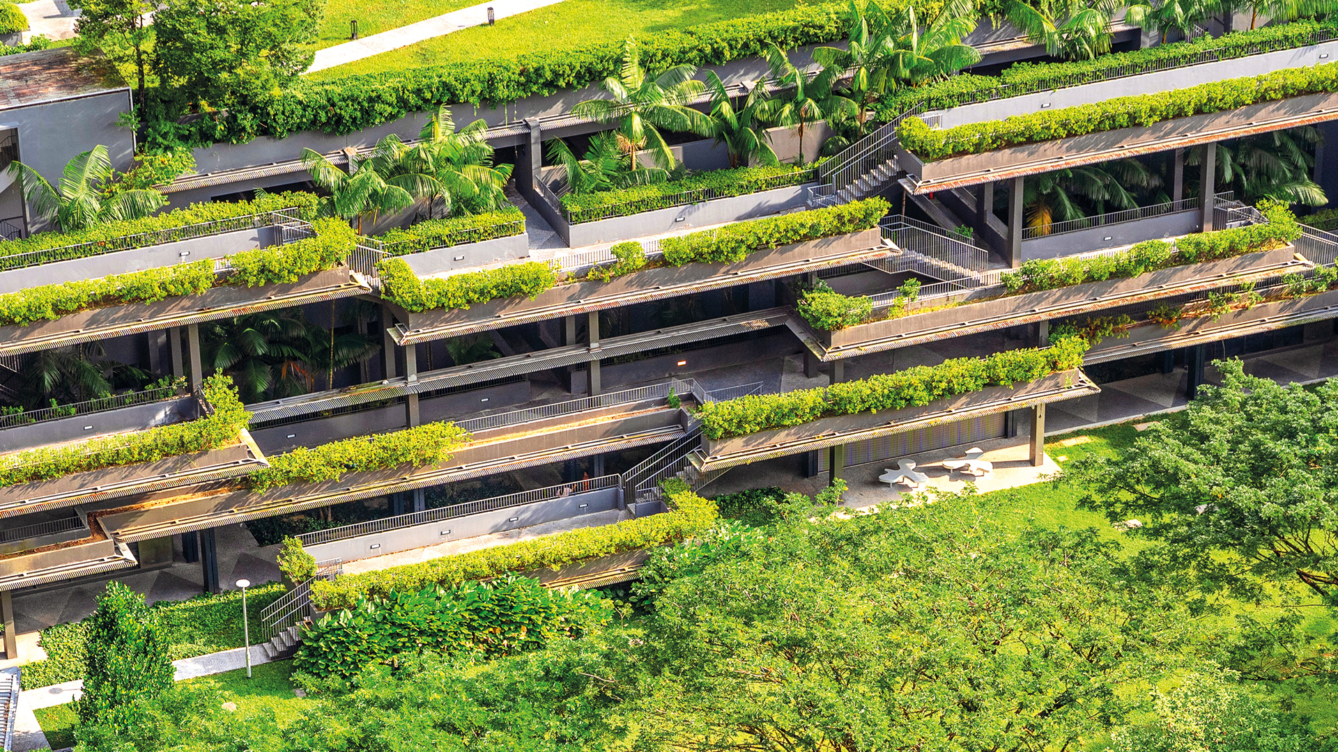 skyterrace at dawson singapore green vision silverkris